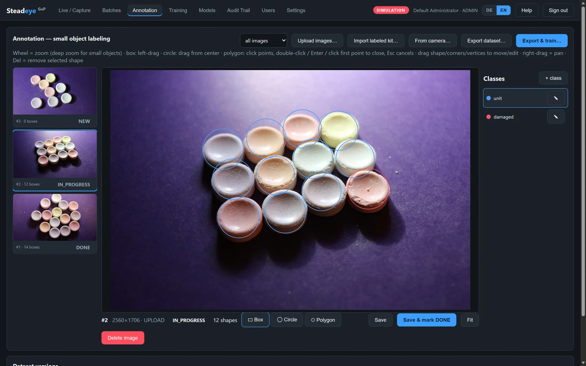 Steadeye annotation view: a training image of pastel-colored tablets carrying twelve circle annotations, one marked in the red damaged class, with dataset thumbnails in NEW, IN_PROGRESS and DONE states